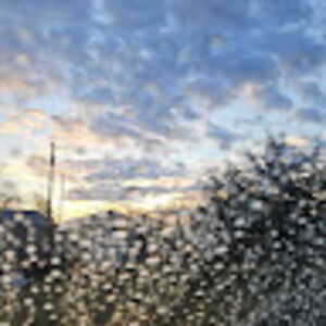 Meet your Posher, Peyton